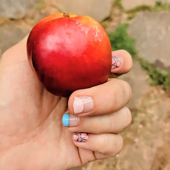 5 for $15 Nail Wraps- Just Peachy (transparent) - Picture 5 of 5